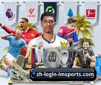 im体育 APP - IM SPORTS